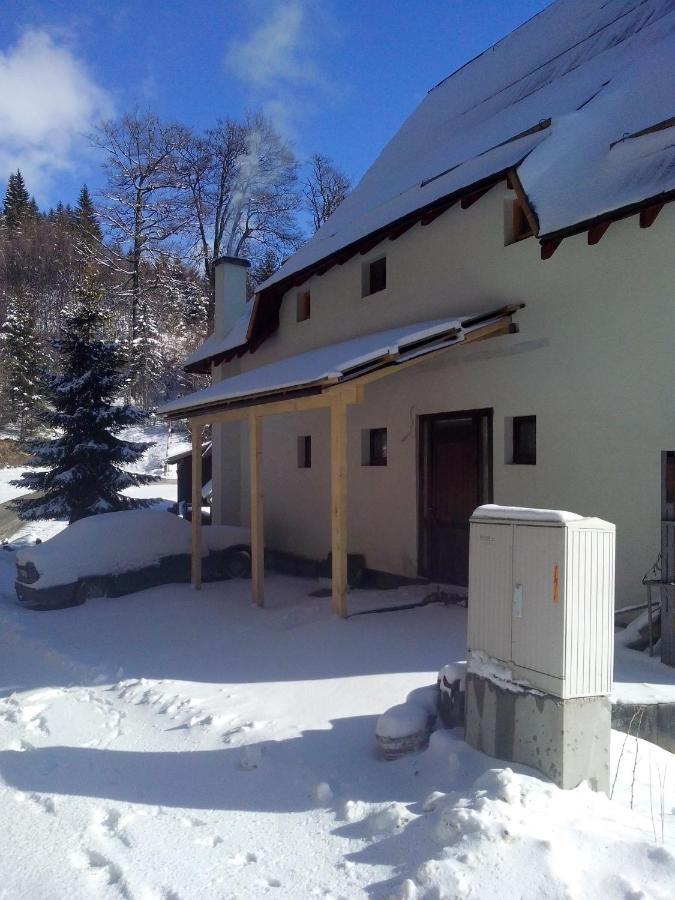 Apartments Dviletov Kutak Kopaonik Bagian luar foto