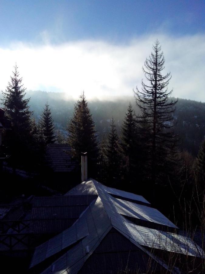 Apartments Dviletov Kutak Kopaonik Bagian luar foto