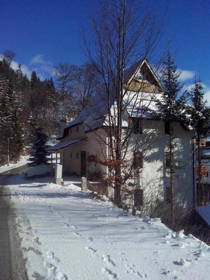 Apartments Dviletov Kutak Kopaonik Bagian luar foto