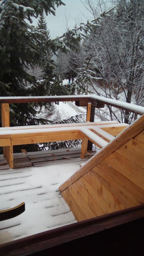 Apartments Dviletov Kutak Kopaonik Bagian luar foto