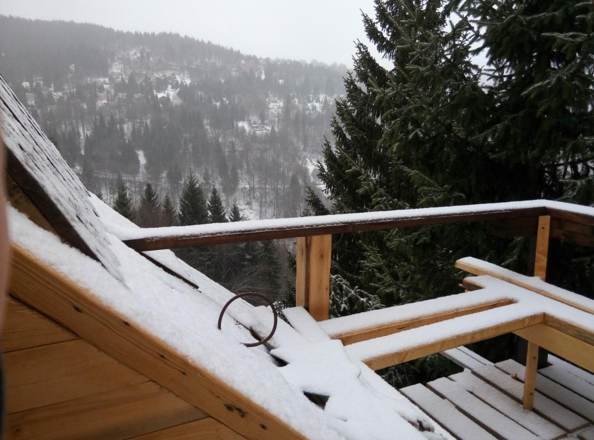 Apartments Dviletov Kutak Kopaonik Bagian luar foto