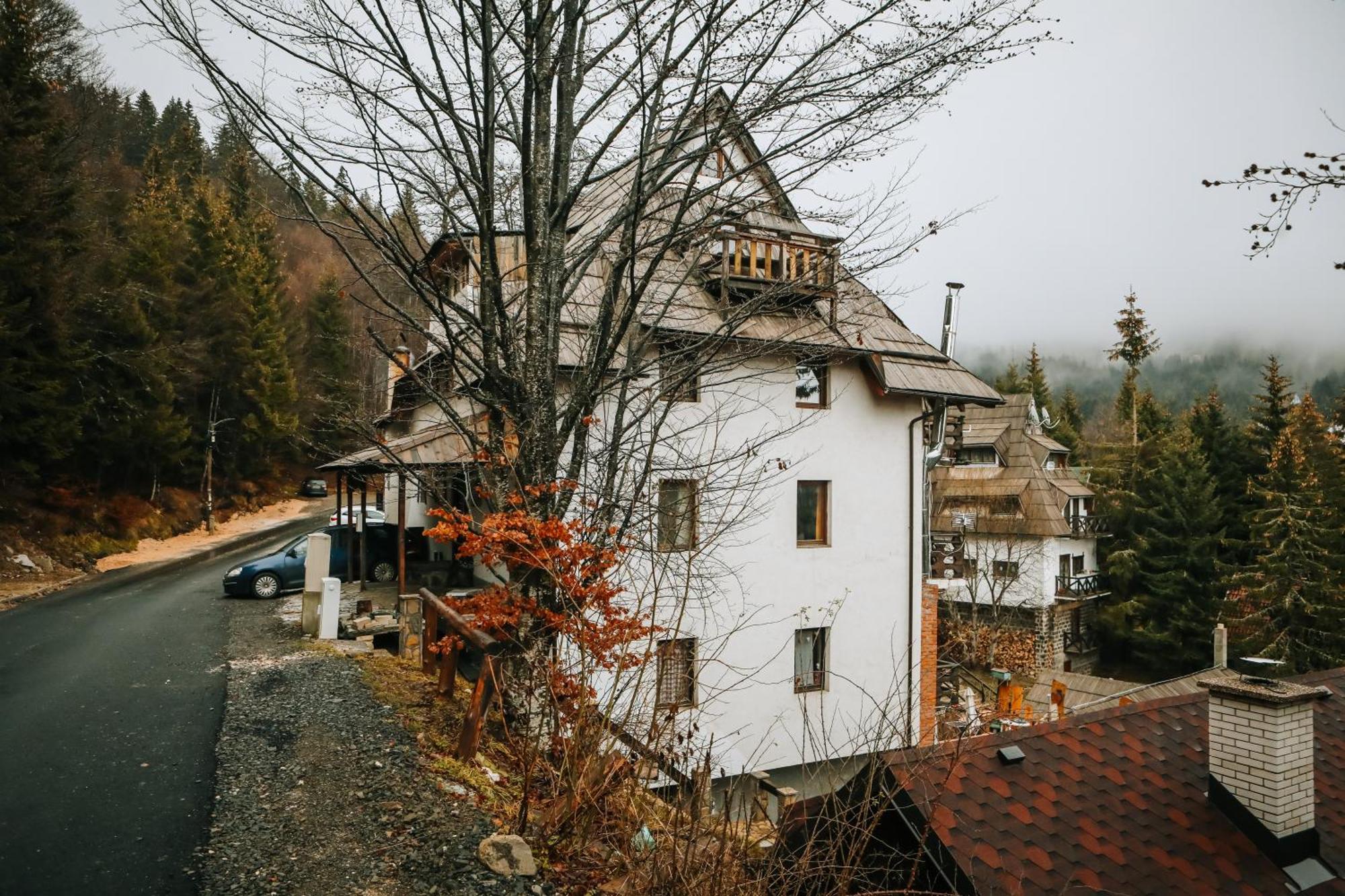 Apartments Dviletov Kutak Kopaonik Bagian luar foto